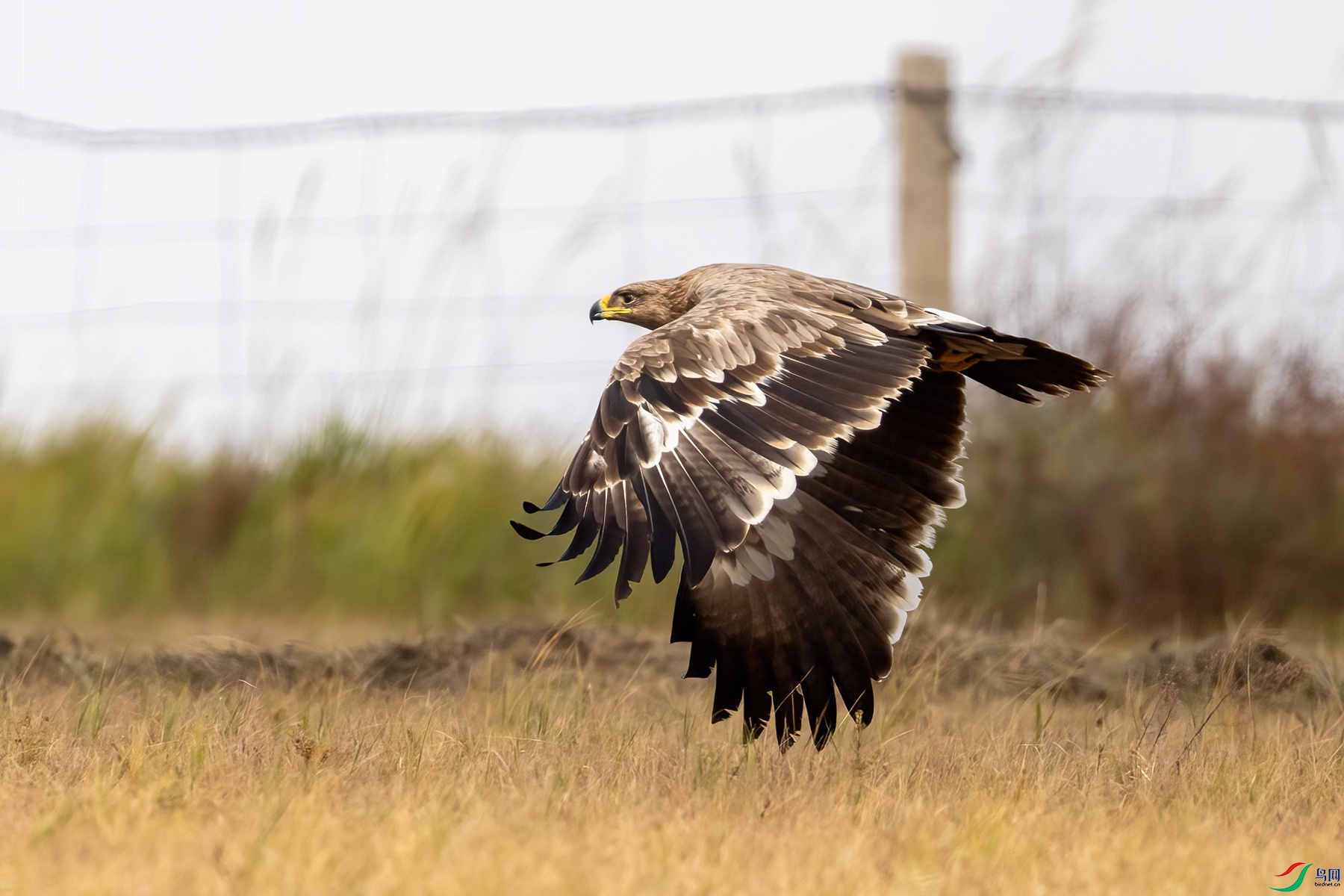 274A2187 ����_����.jpg