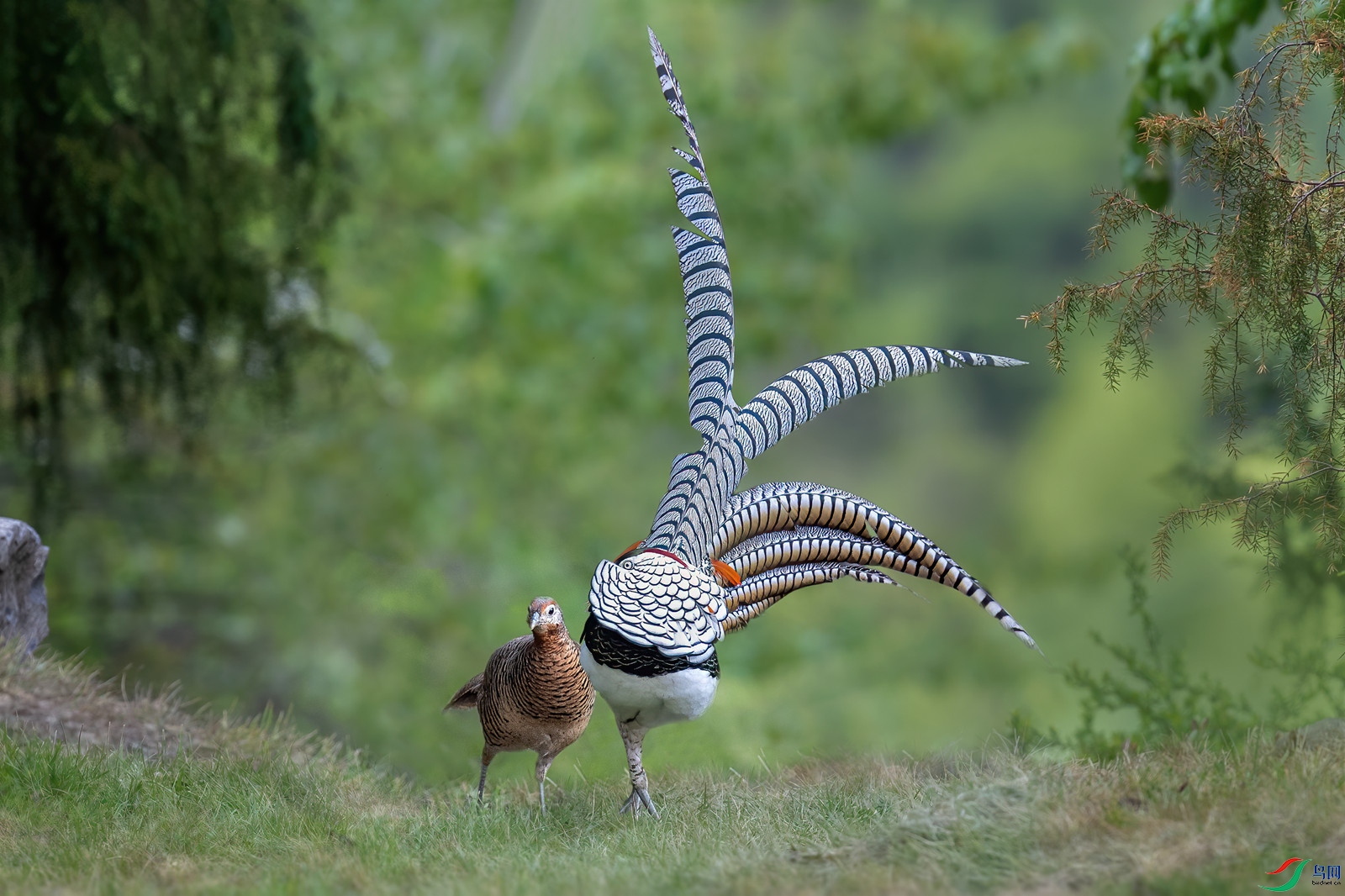 DSC_9339 ����_����.jpg