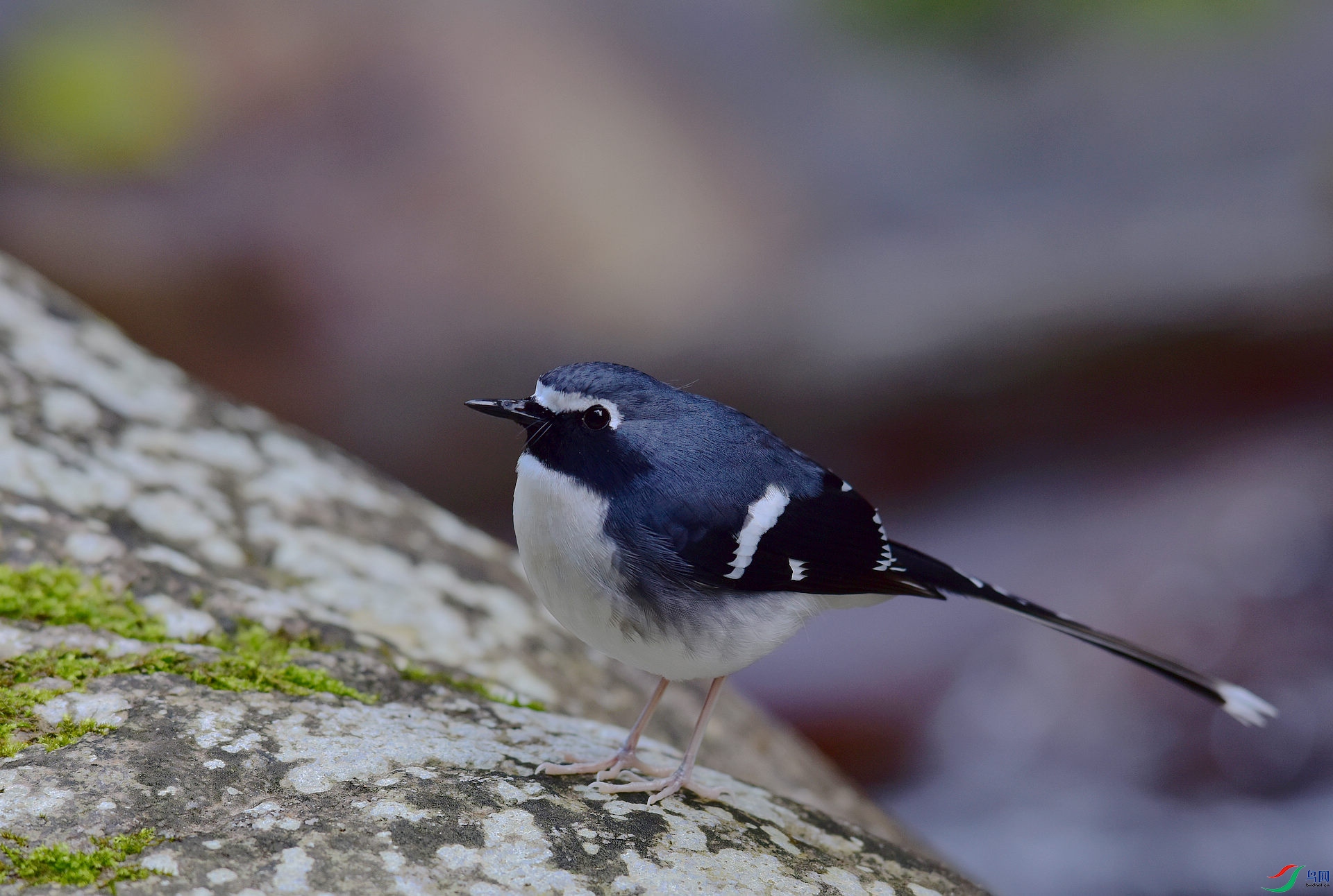 D8I_0881.jpg