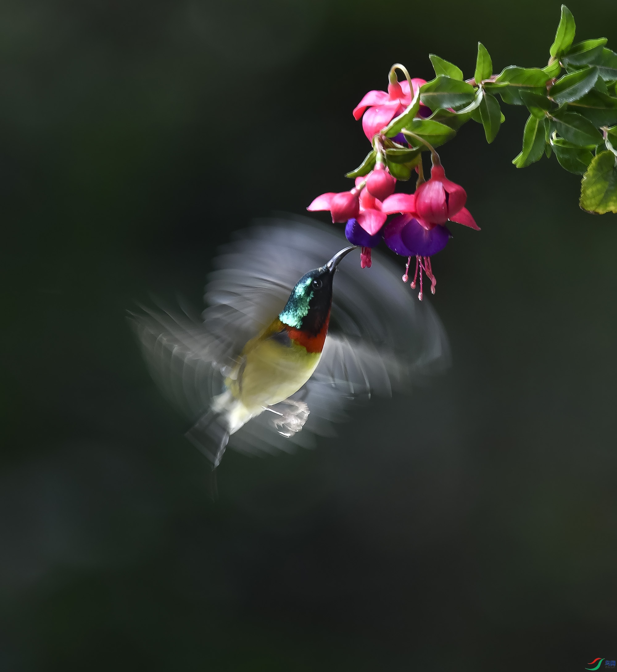 _Y210777.JPG