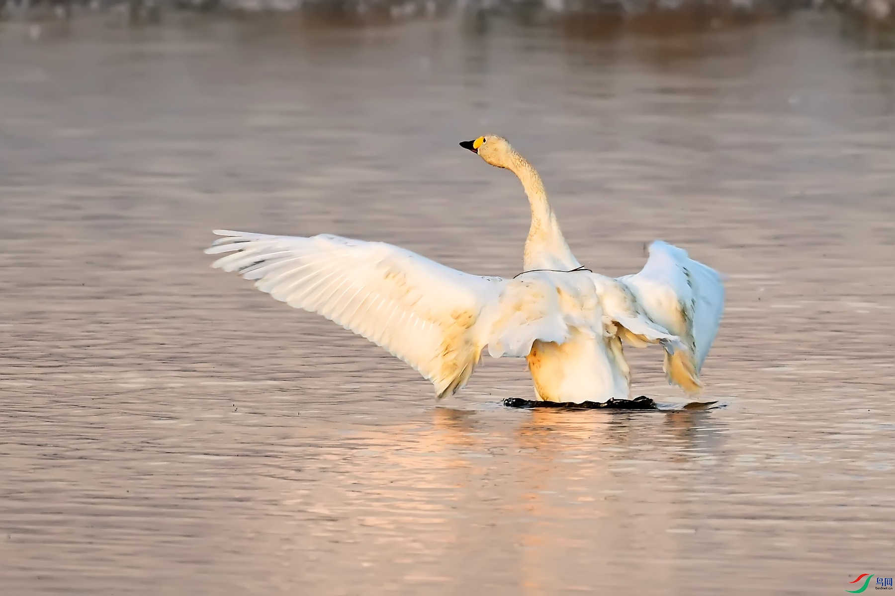 DSC_7169.jpg