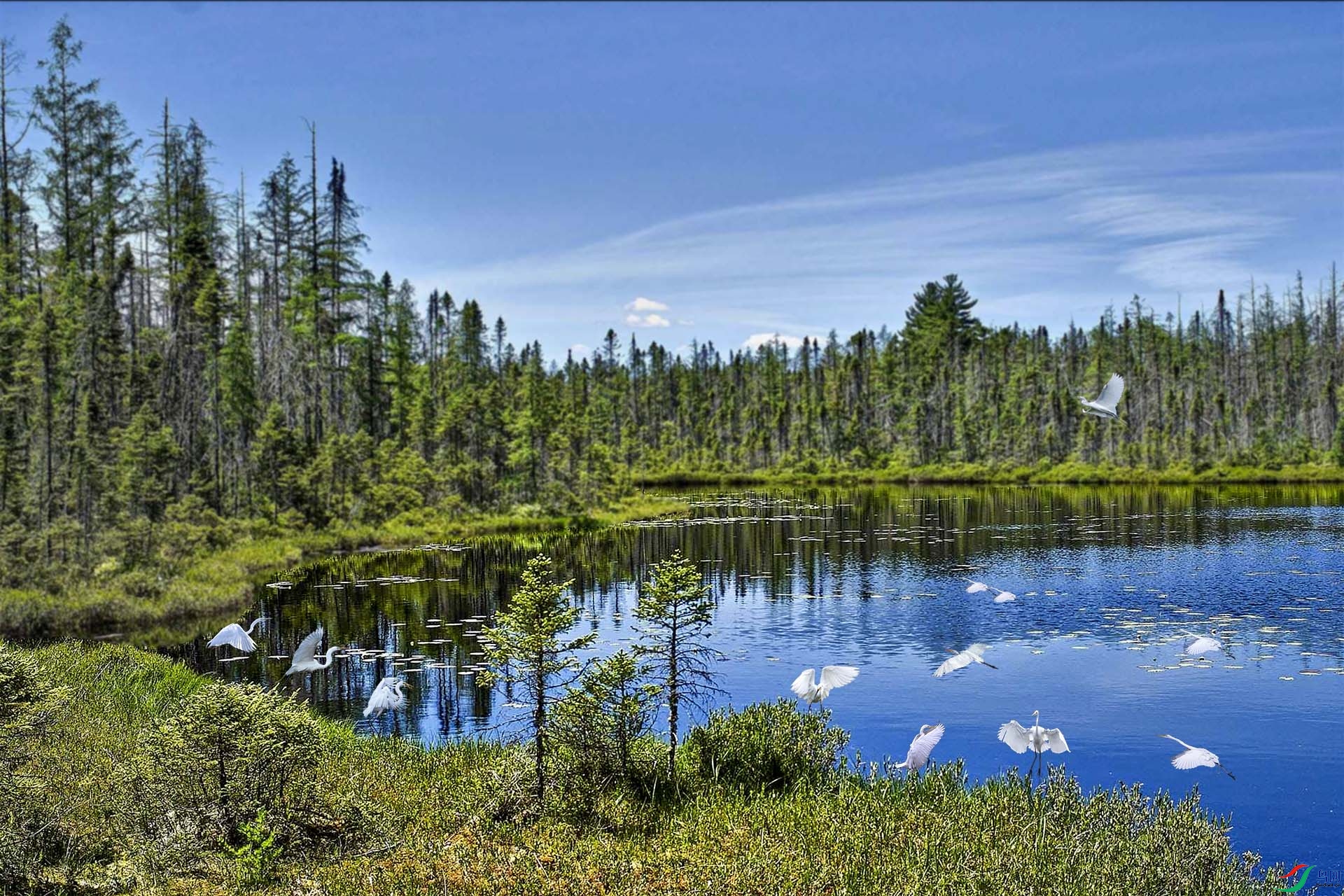 ��԰-2 1920p500k.jpg