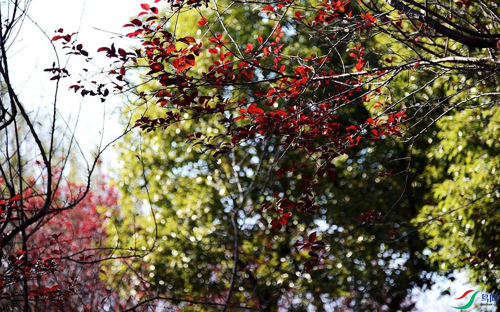 810 (71)_����.jpg