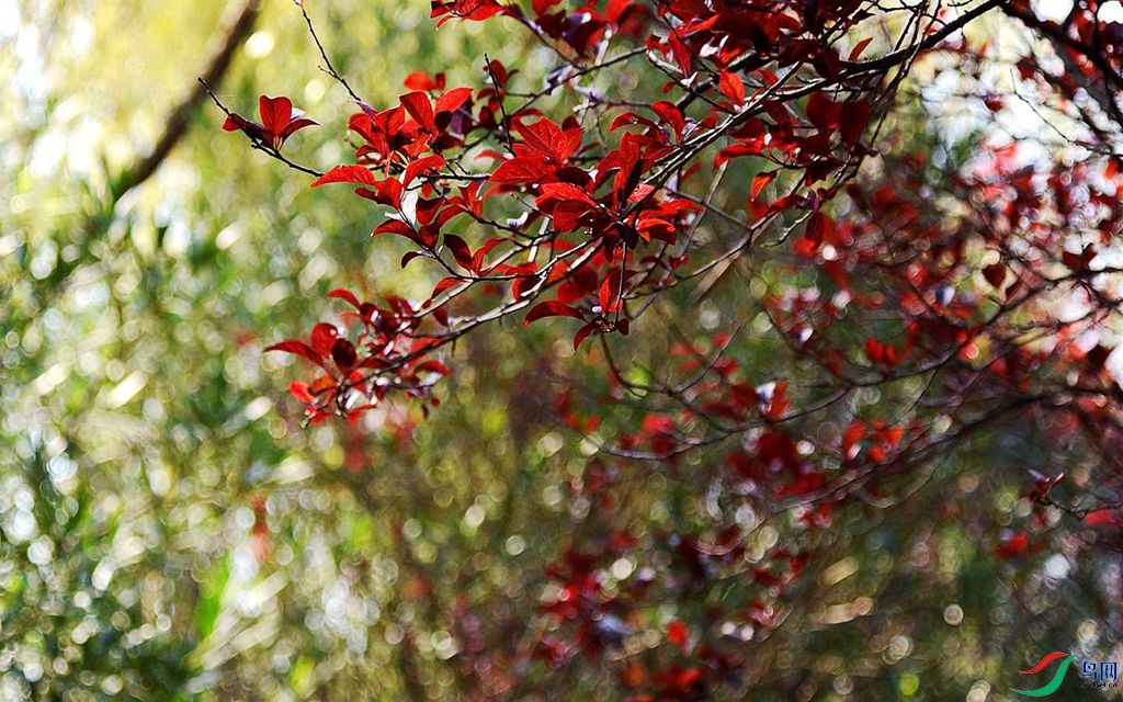 810 (72)_����.jpg