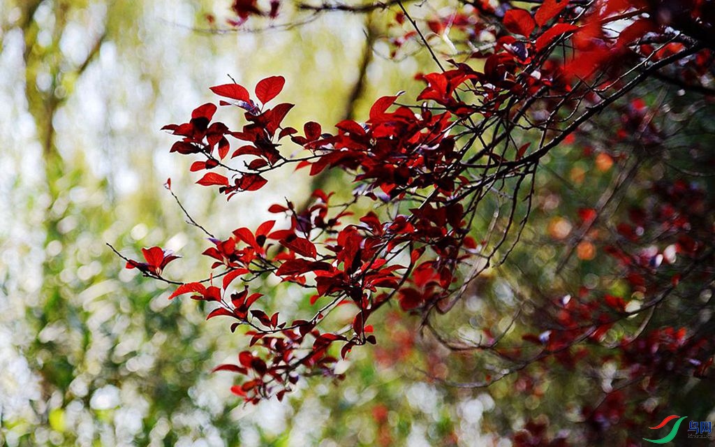 810 (73)_����.jpg