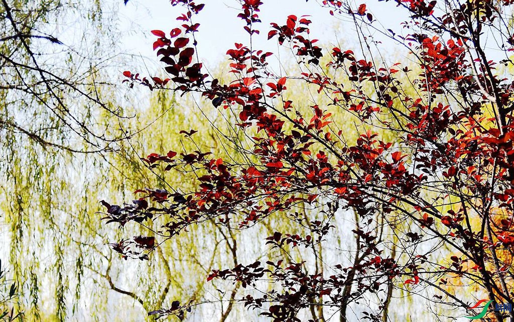 810 (74)_����_����.jpg