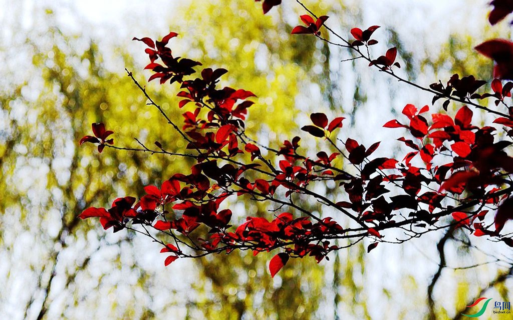 810 (76)_����.jpg