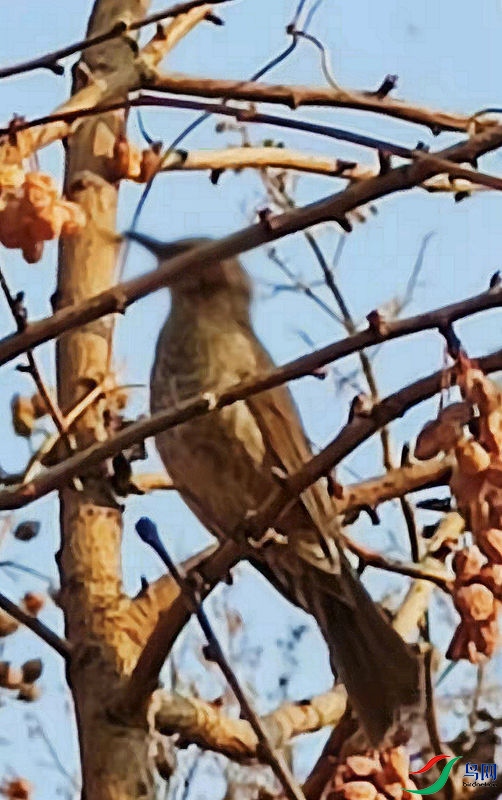 ��̣�ʲô�����