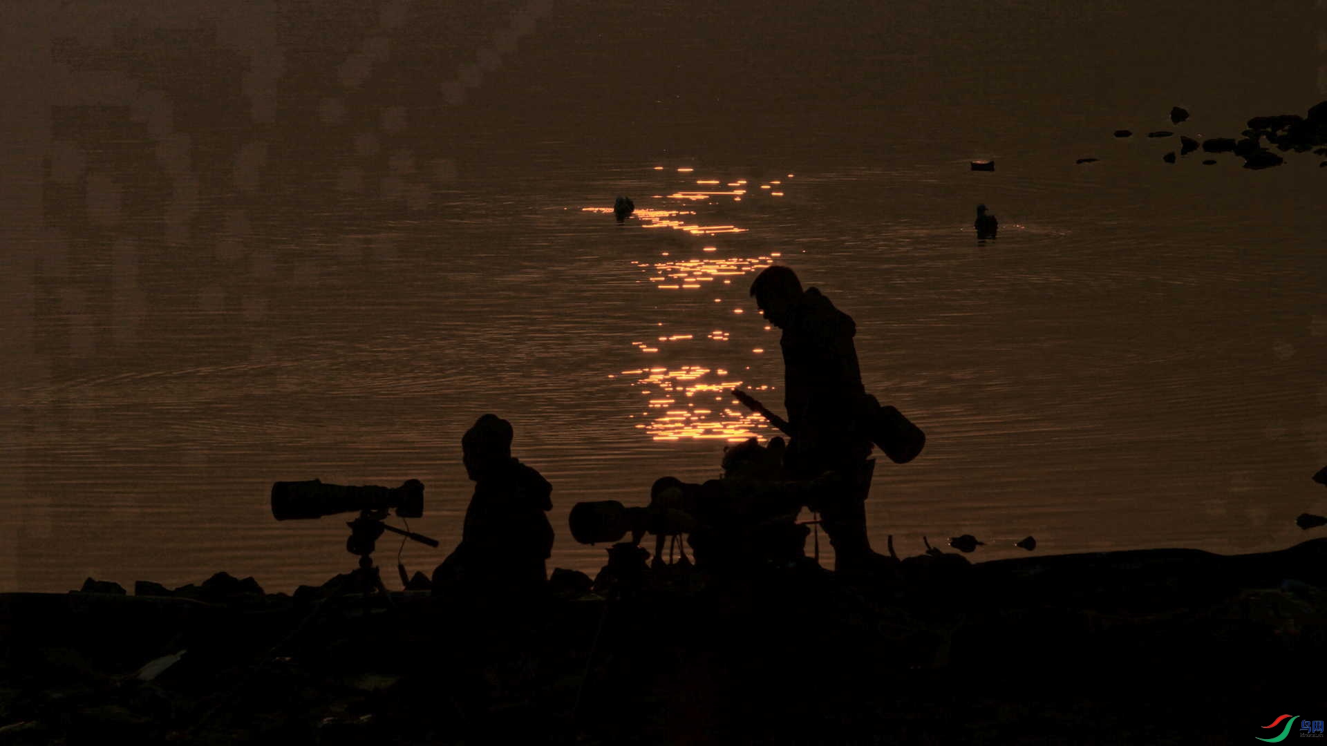 �����е��Ŀ�