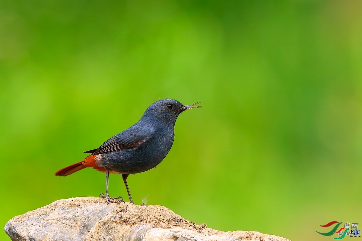 ���ã�һ��������  ��ʦ����������ʡ����������.jpg