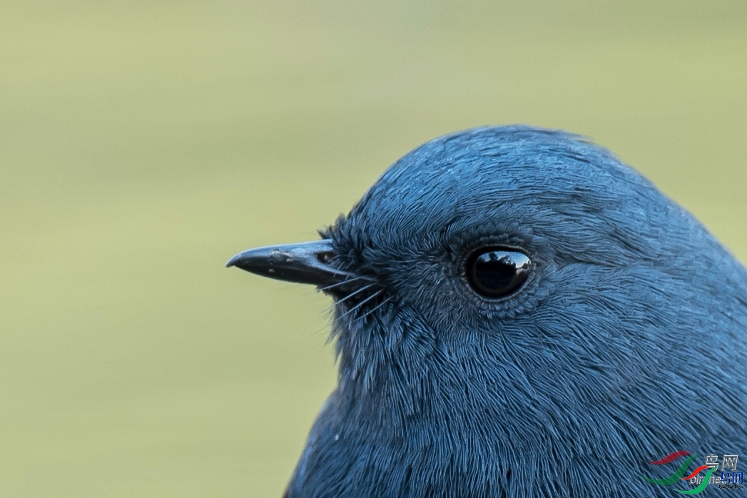 9.5��  ��ʦ����.jpg