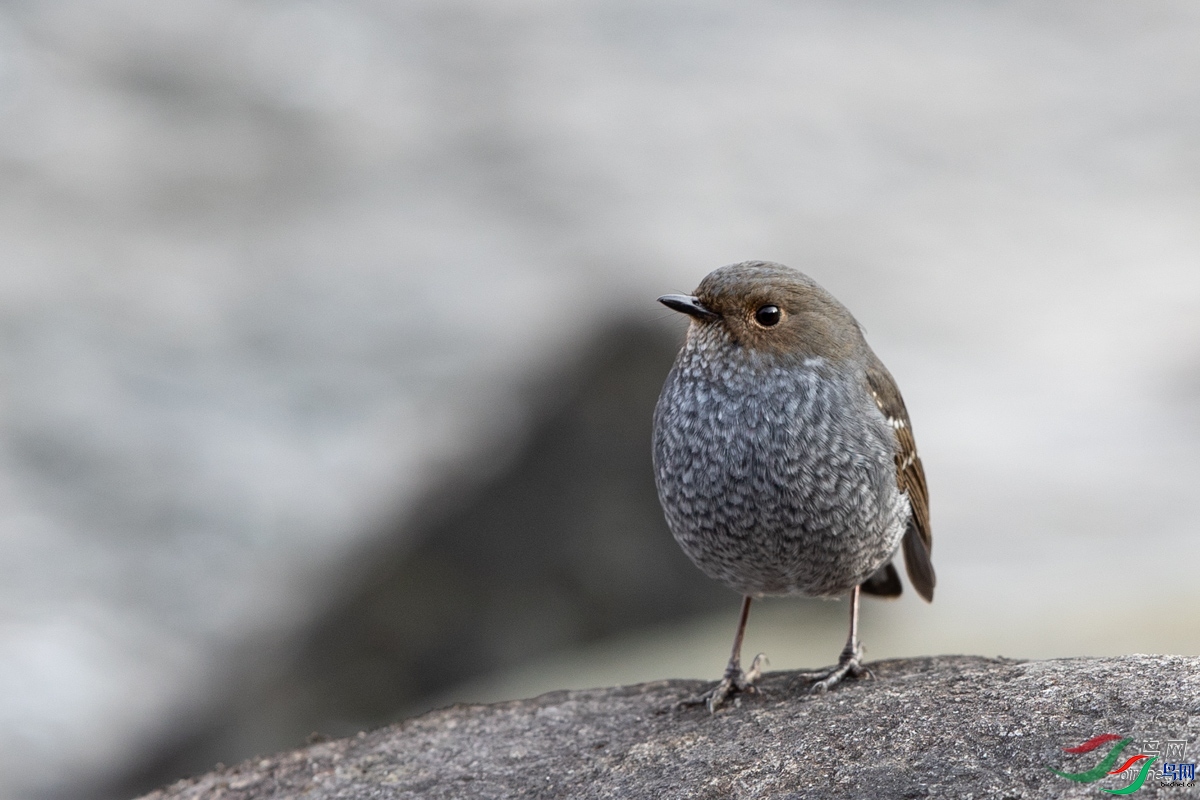 ����   ��ʦ����������ʡ����������.jpg