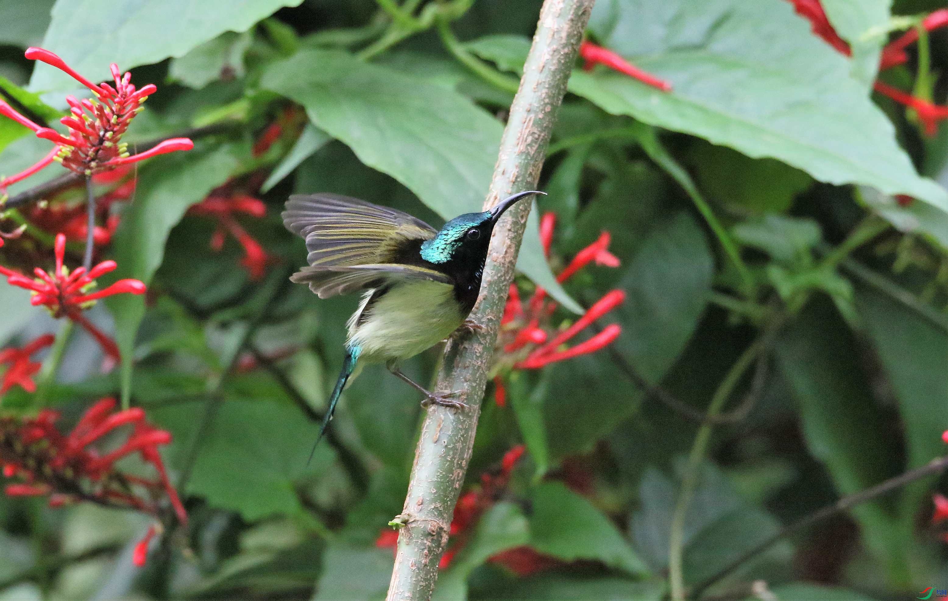 ��β̫���� (40).JPG