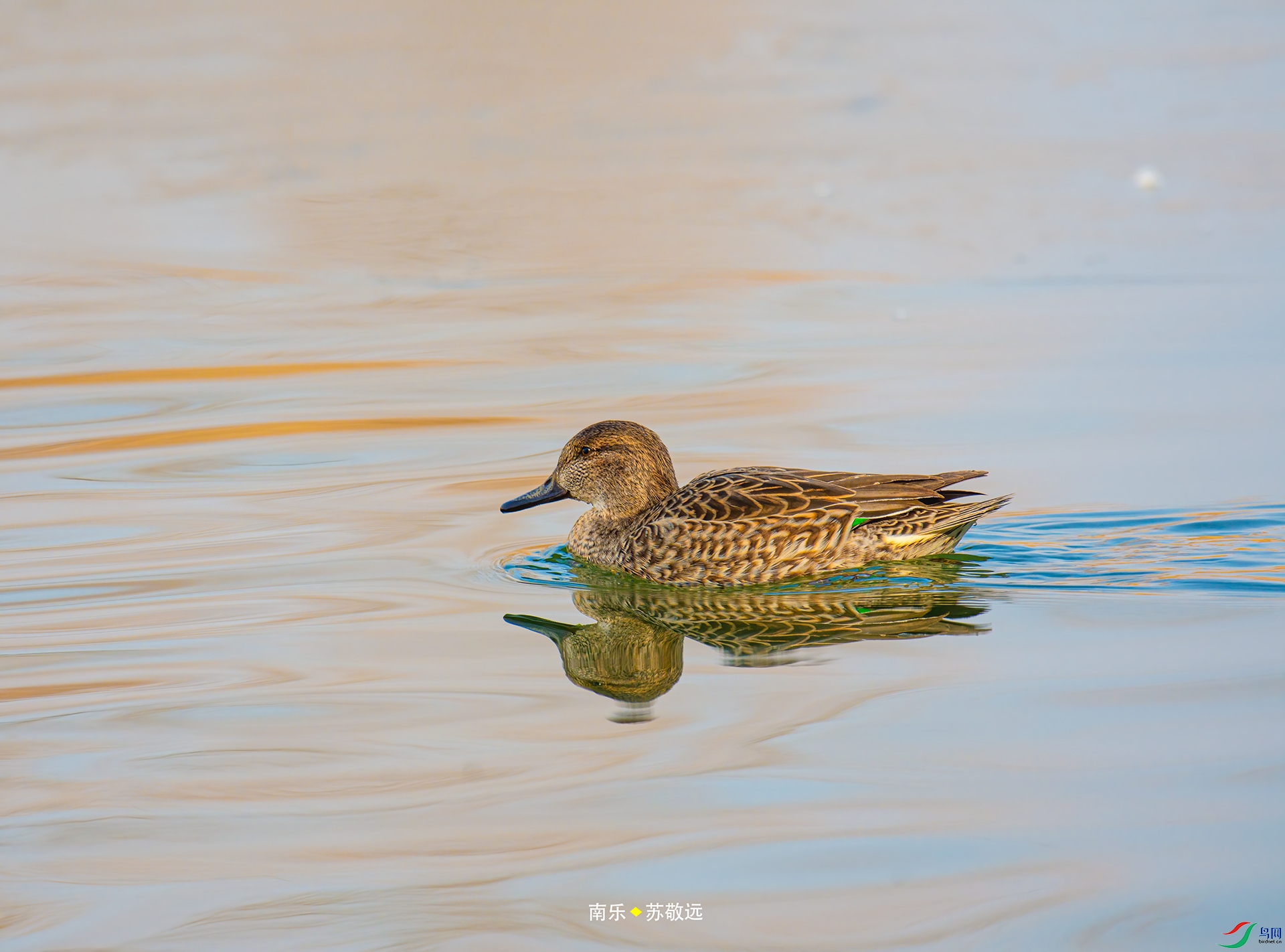 _DSC3398С.jpg