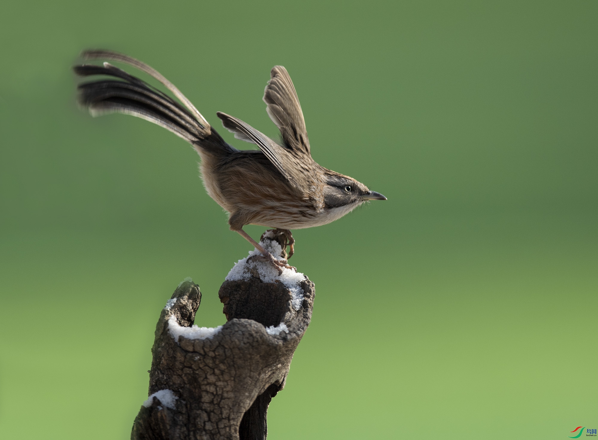 _DSC2300 ����.jpg