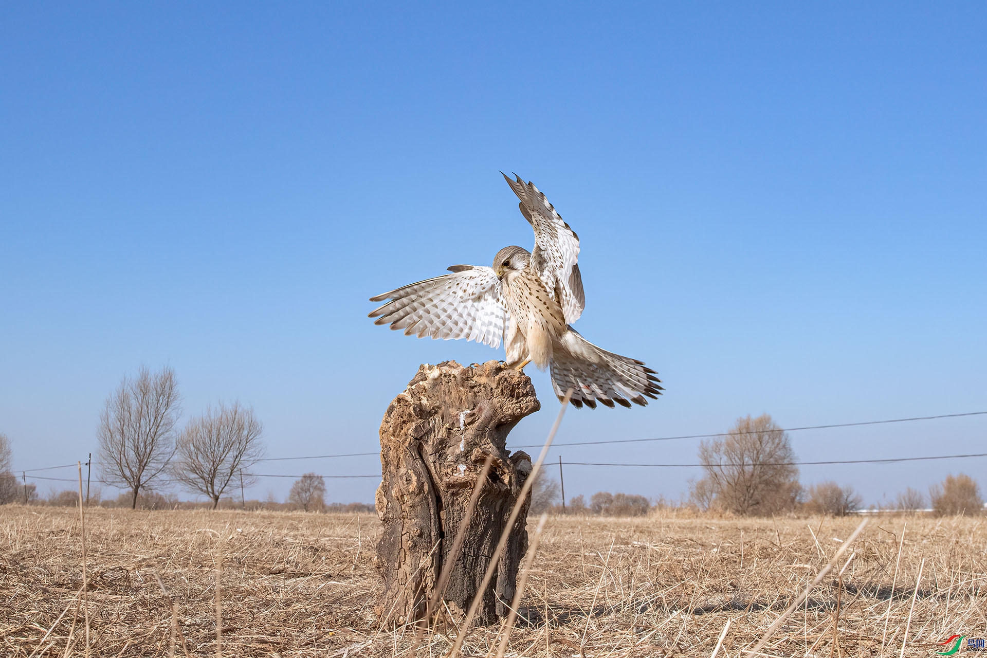 7D2_3577 ���� 2.jpg