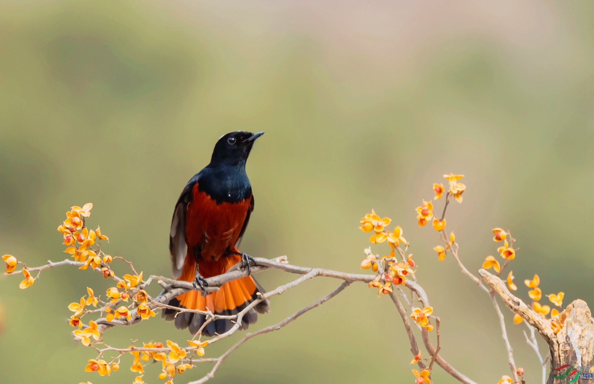 �ҵ������й�  ��ʦ������ɽ��ʡΫ����������.jpg