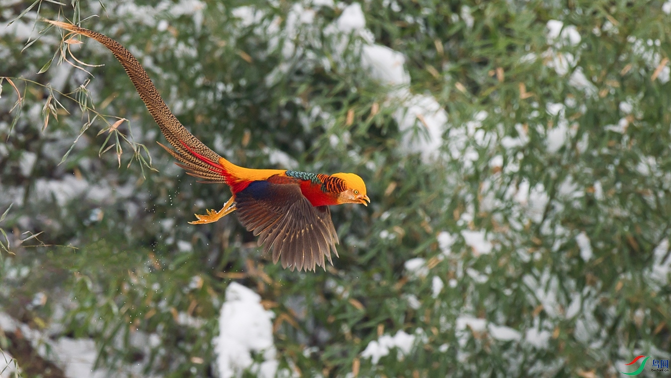 XCG_2883 - ����.jpg