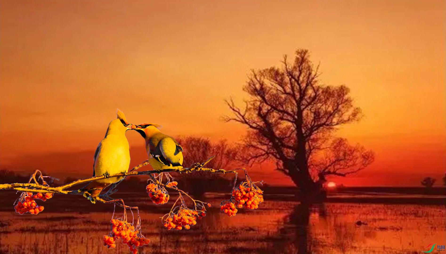 717 - ����.jpg