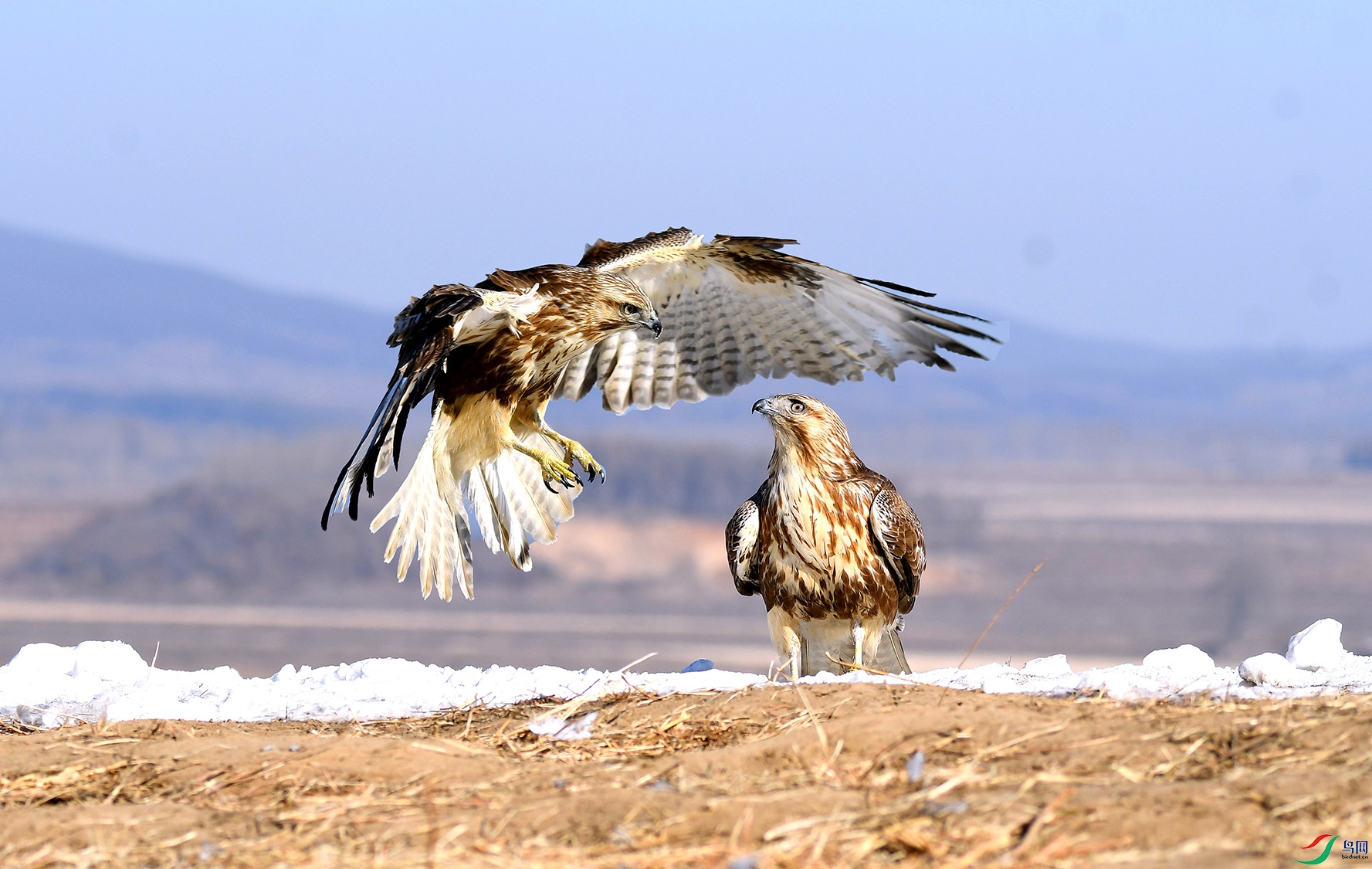 5.�ؼҿ���-_��ͨ