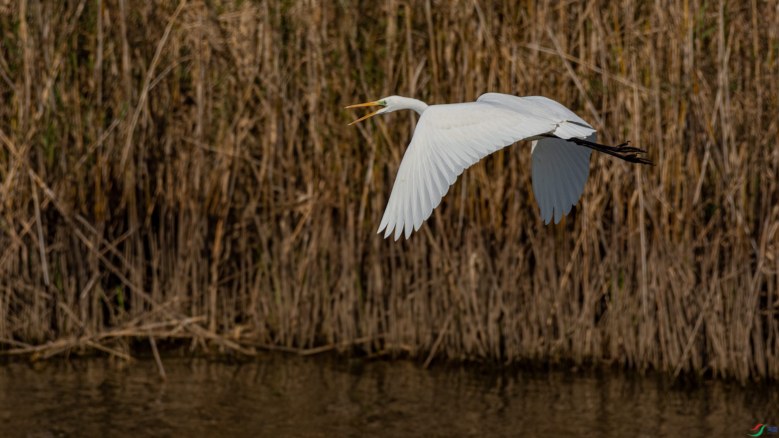 �߽б���ɵĴ����