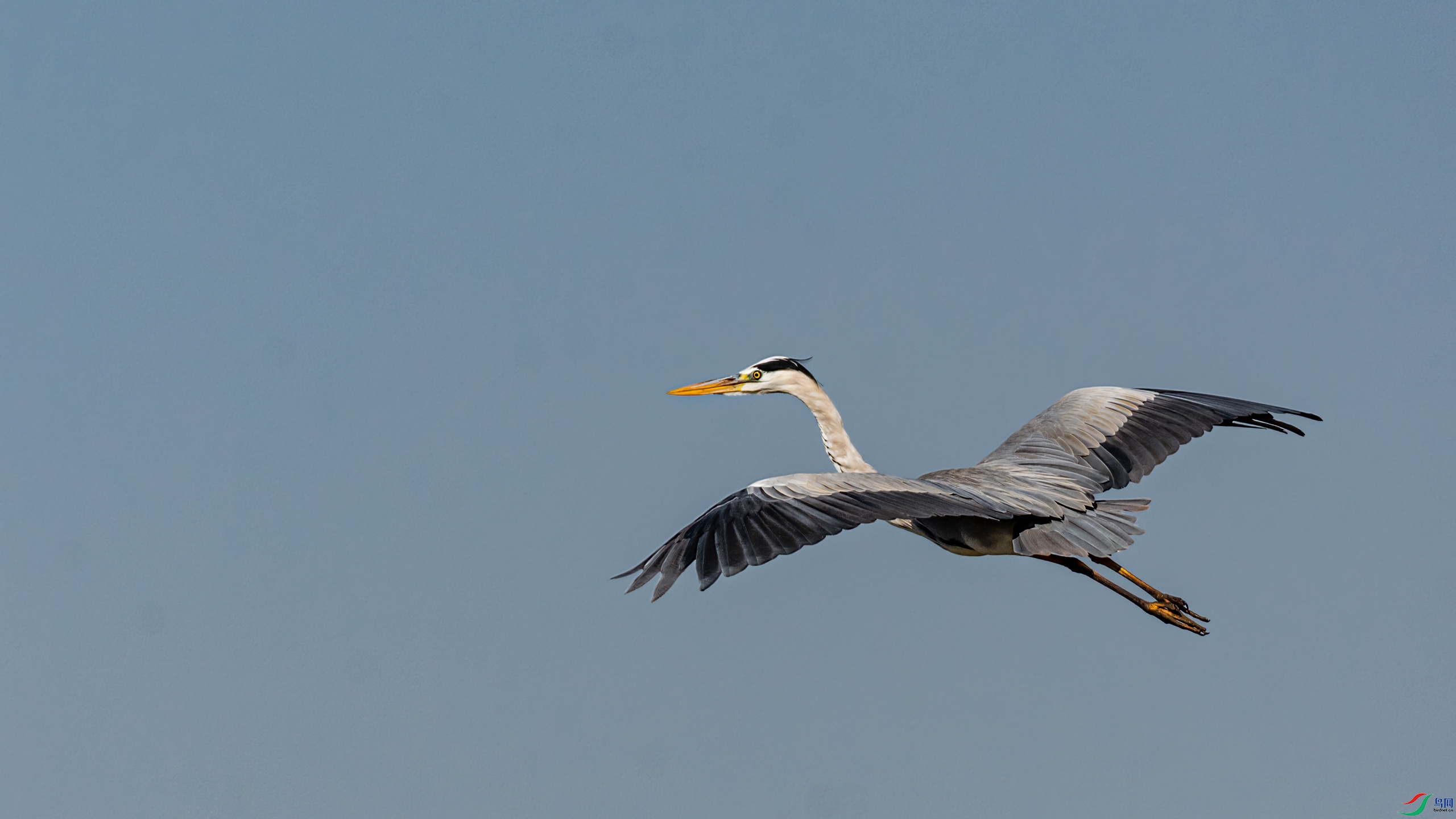 �ڿ��и�ֵĲ���