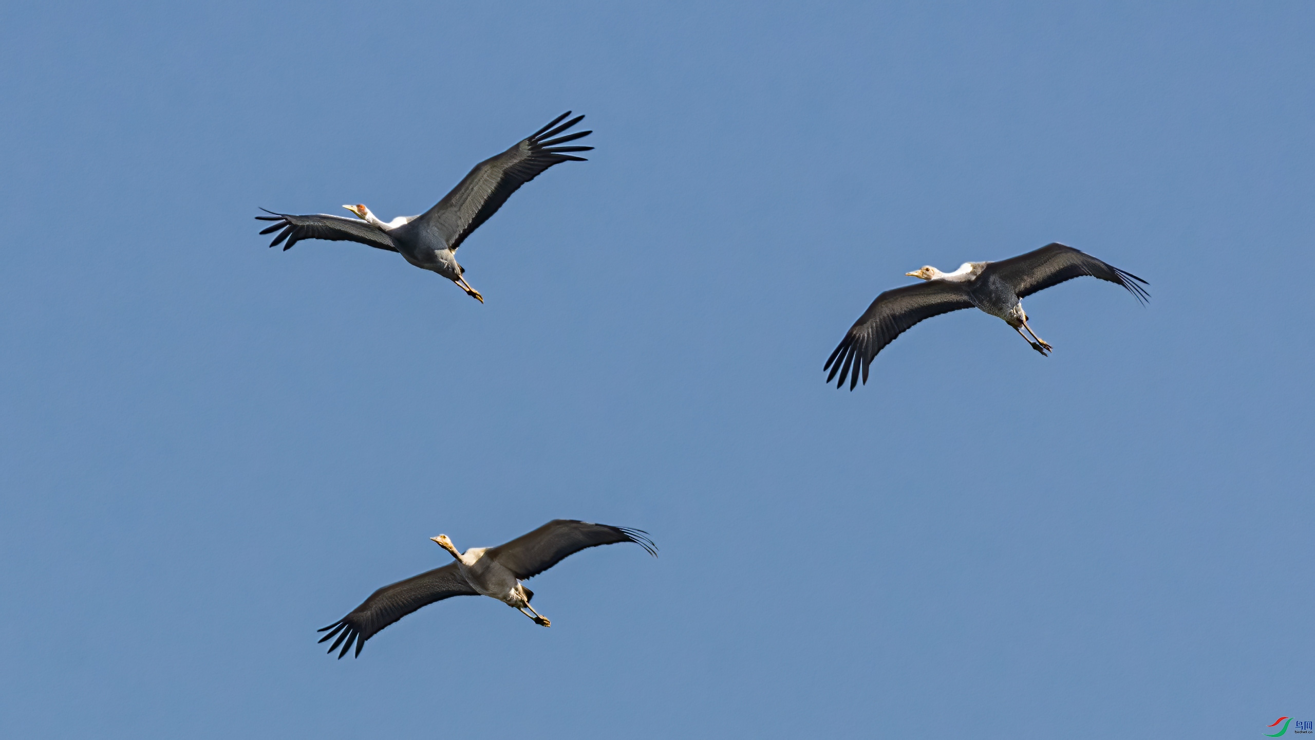 �����Ĵ�һ�