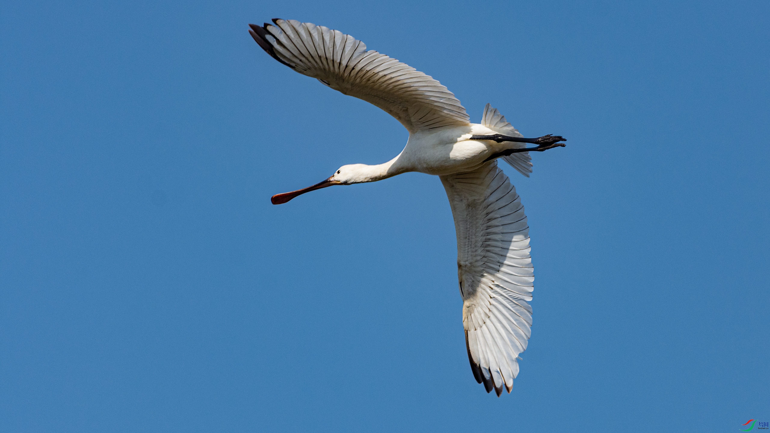 �ӹ�ͷ���İ�����