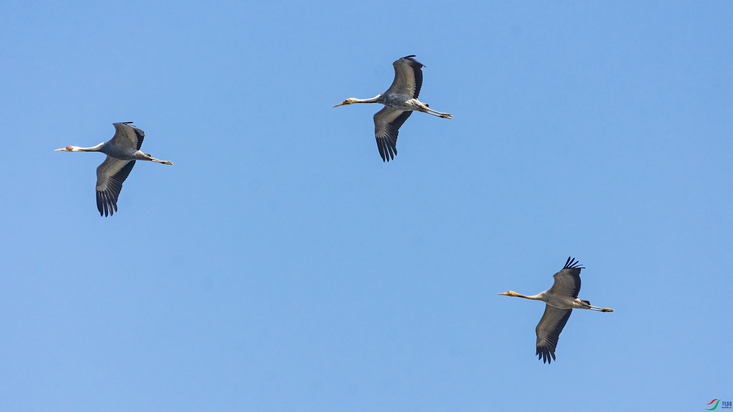 ��Զ�Ĵ�һ�