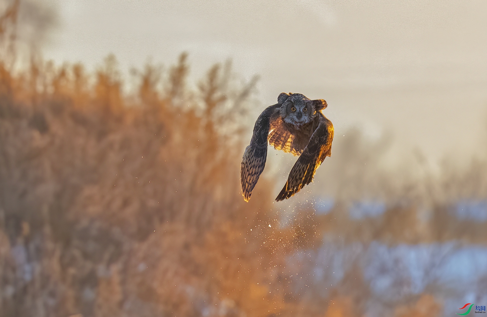 AC0I2187 ����.jpg