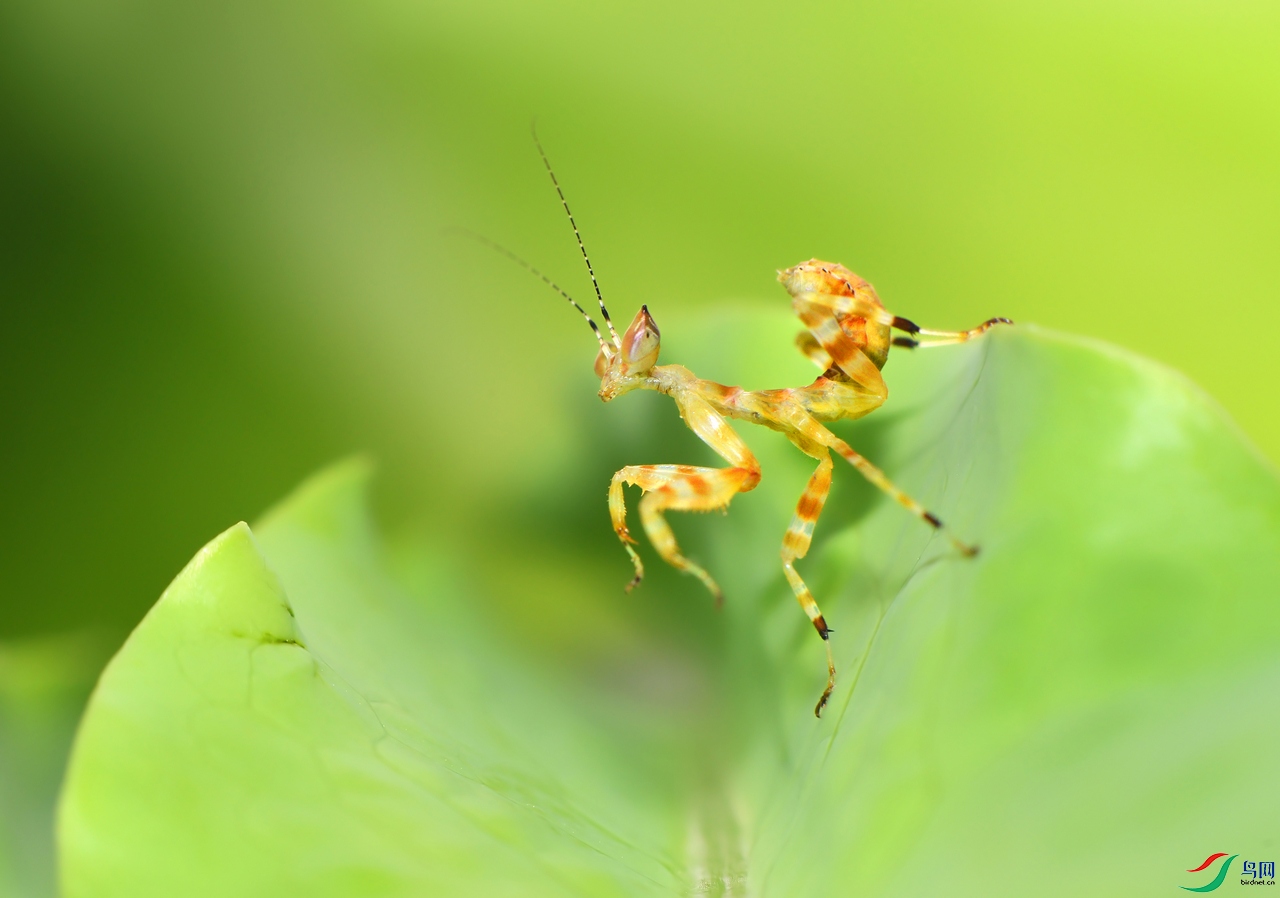 DSC_7712 ��������.jpg