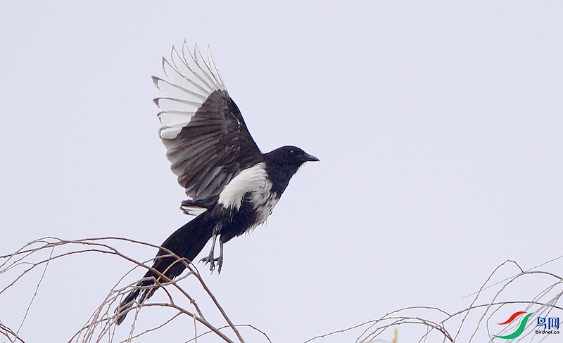DSC_3849.JPG