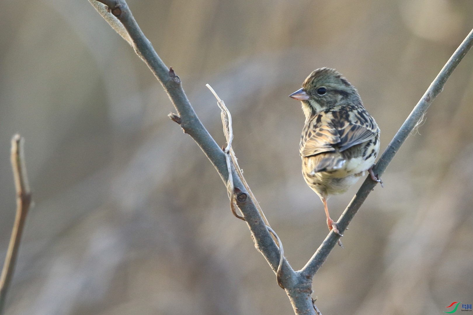 ʲô�M 0F4A8551.jpg