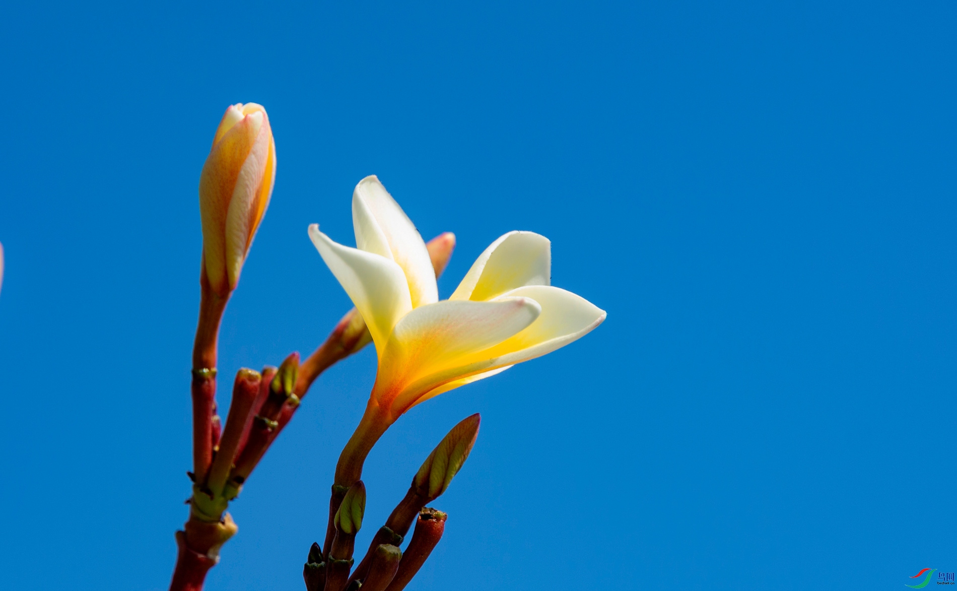 DSC_3917.jpg