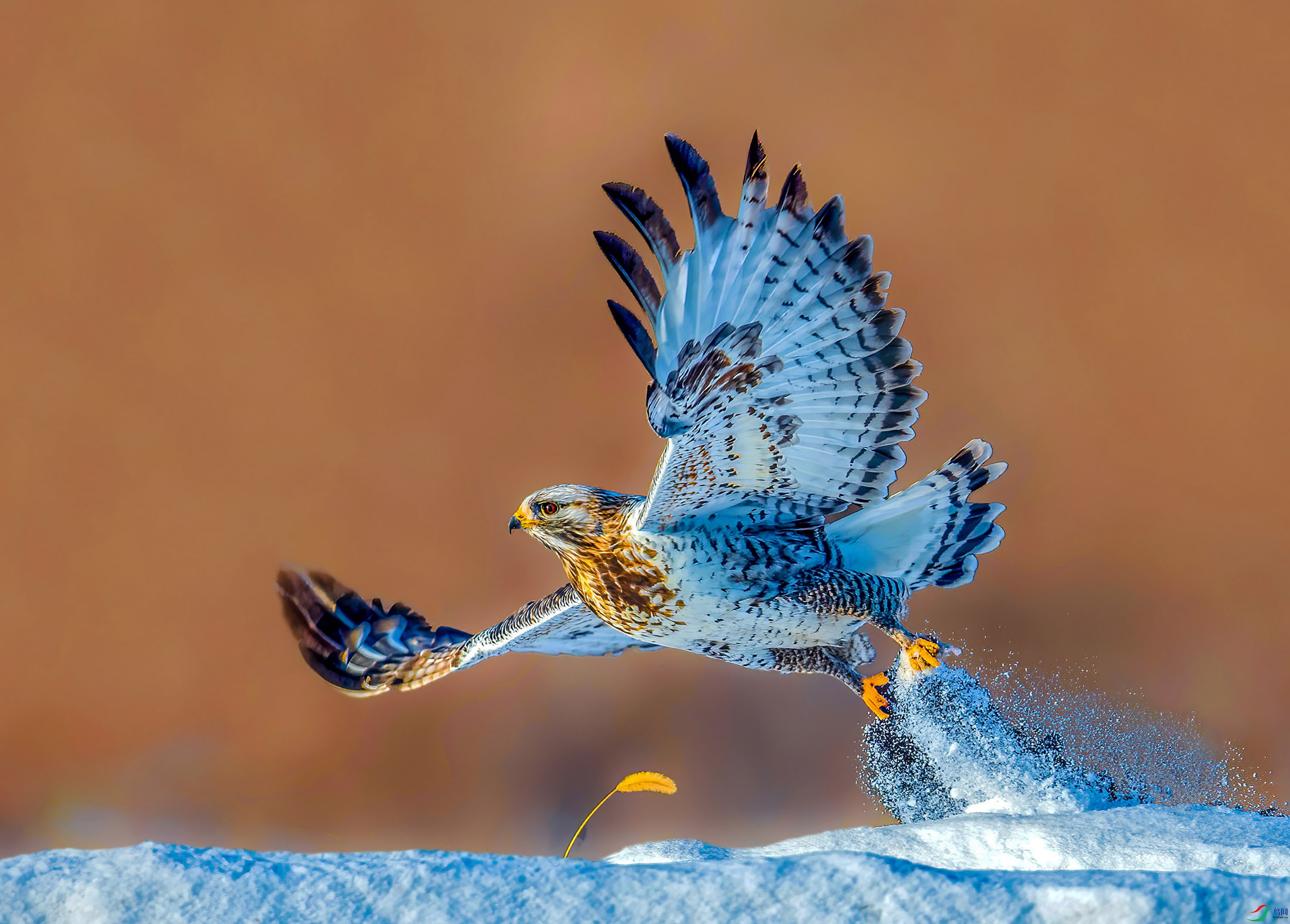 _JLN8334-(2)     ok.jpg