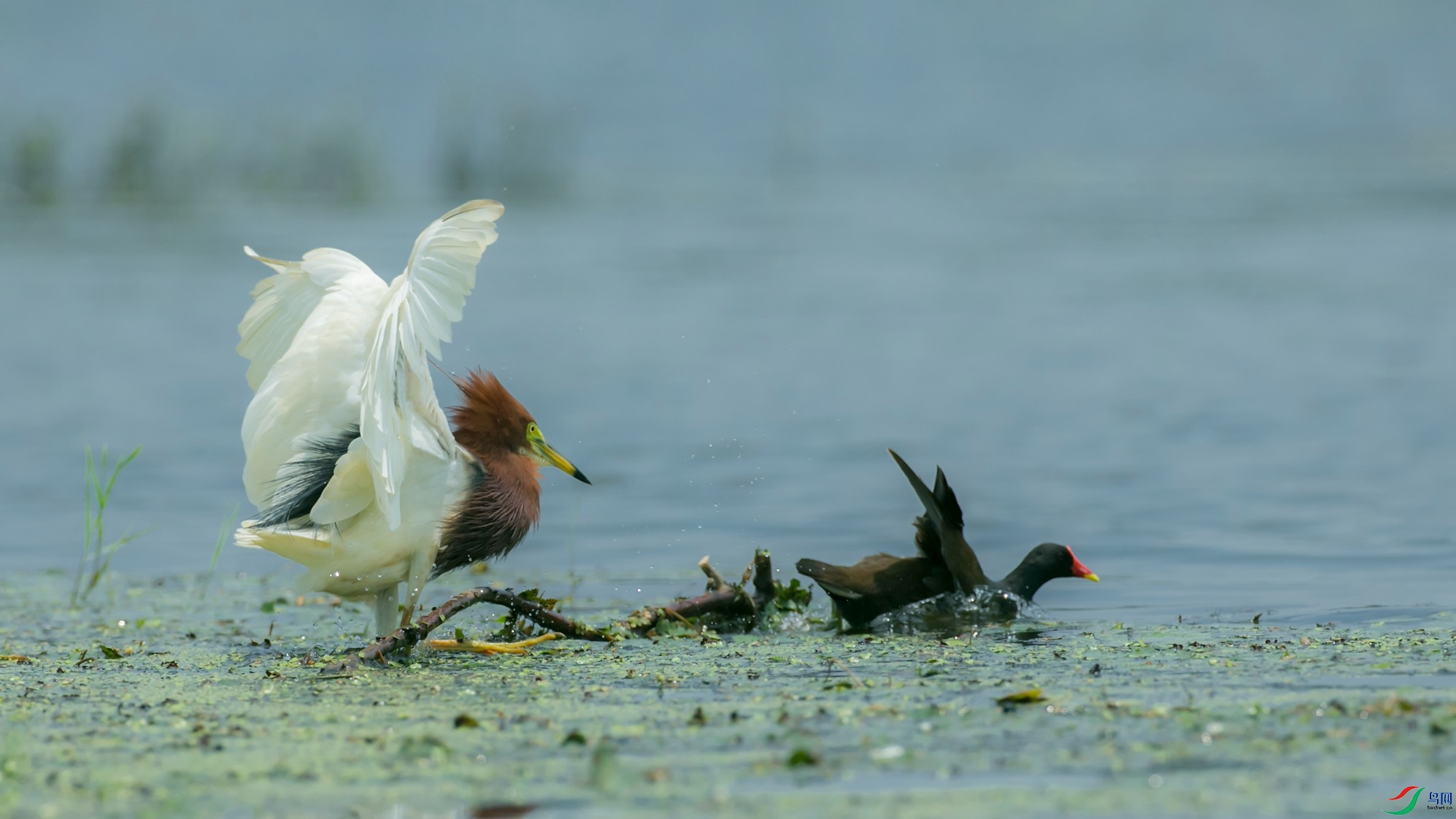 �������ˮ��