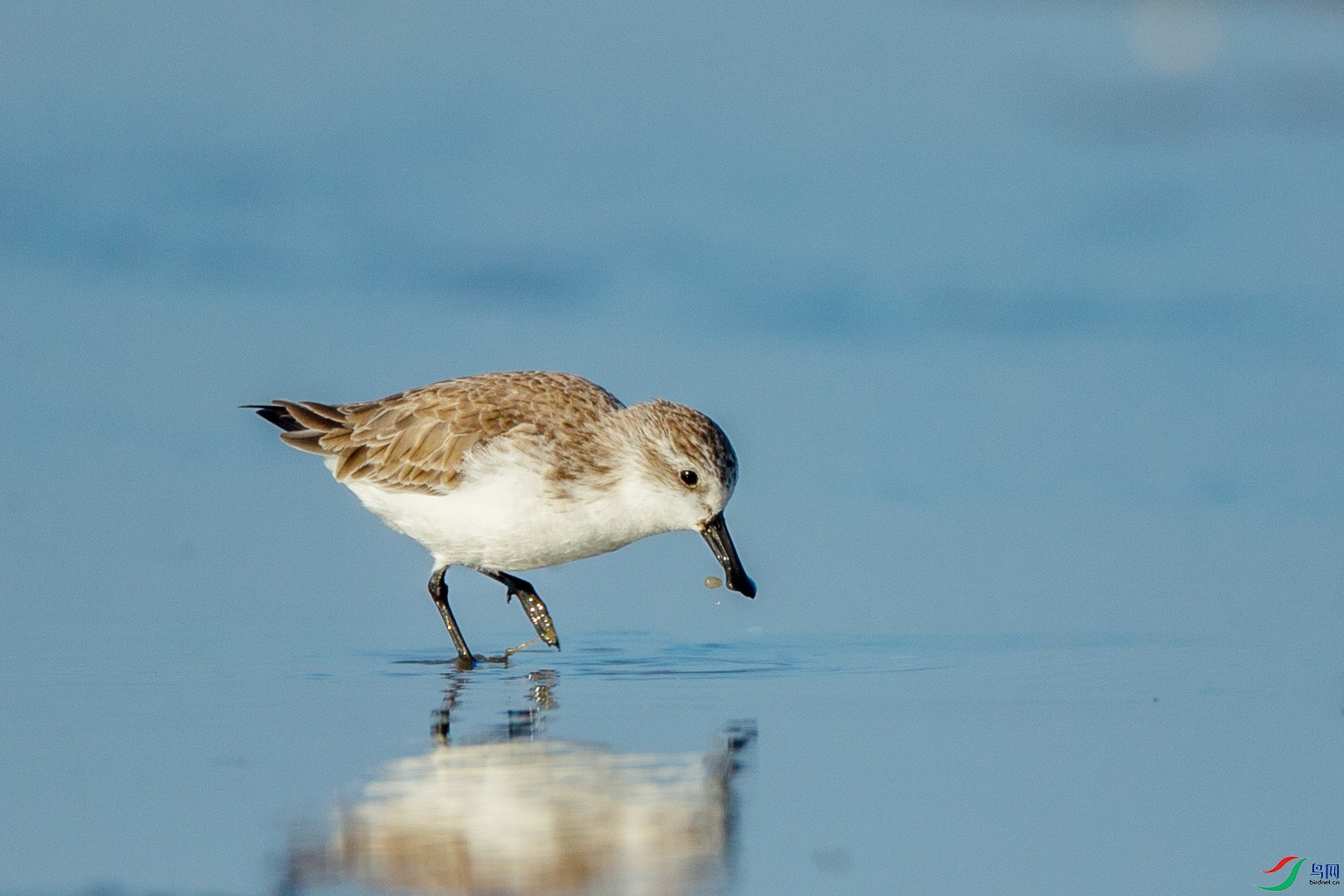 AK2Y4770-1 ����.jpg