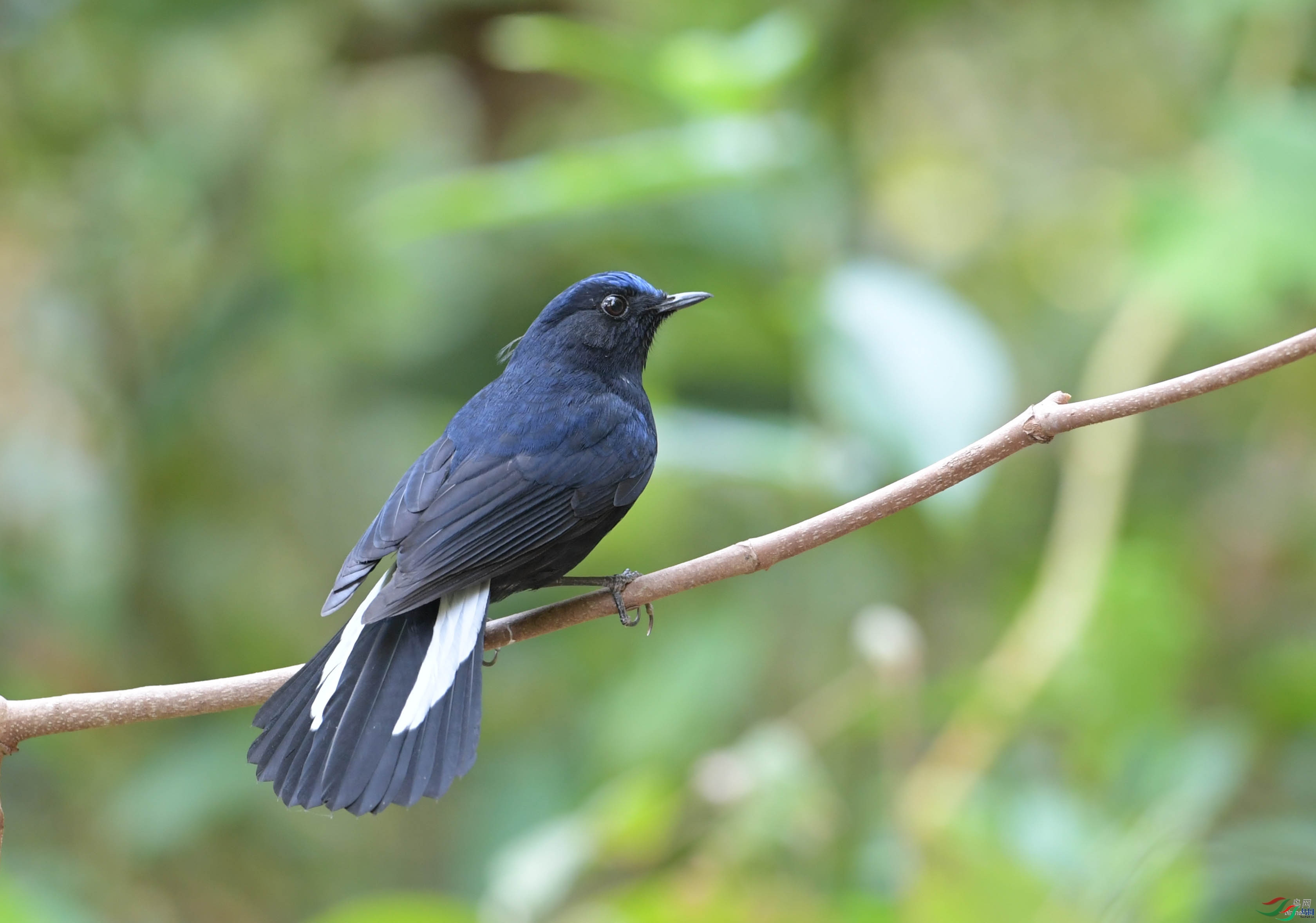 ����ӭ��  ��ʦ����������ʡ˼é��.jpg