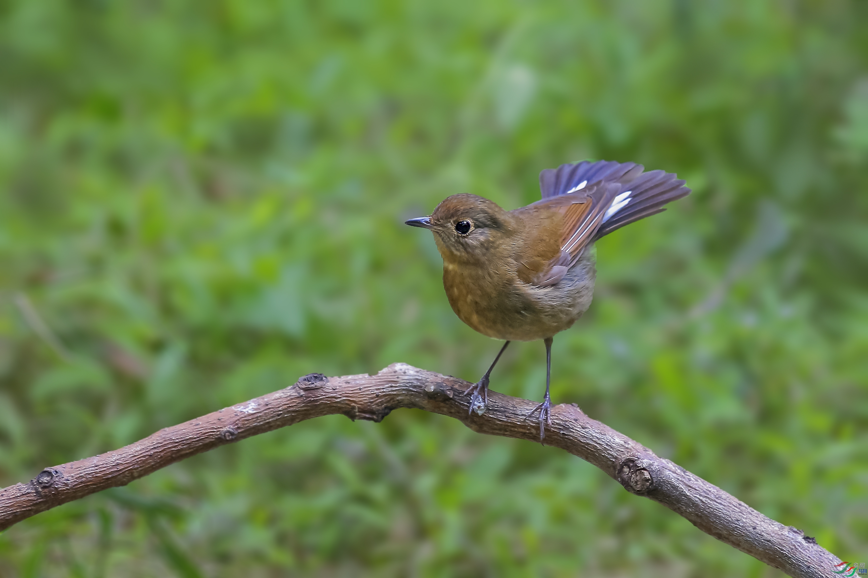 ��Ӱ  ��ʦ����.jpg