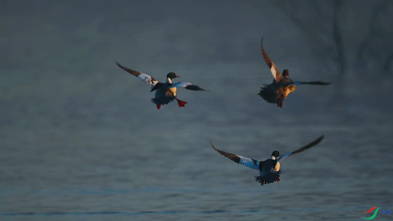 2022-01-02 21-56-30.jpg