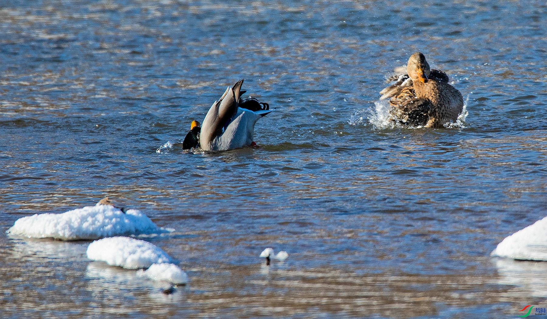 ����ѼϷ (3).jpg