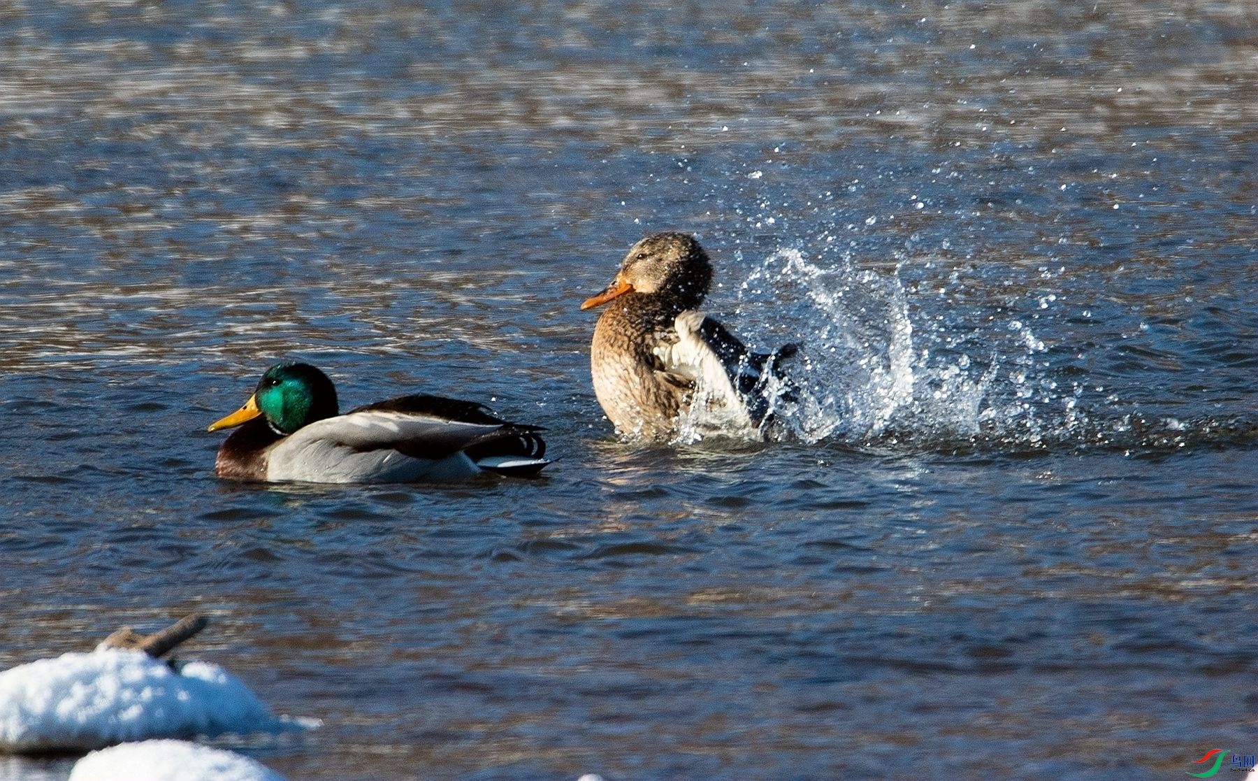 ����ѼϷ (1).jpg