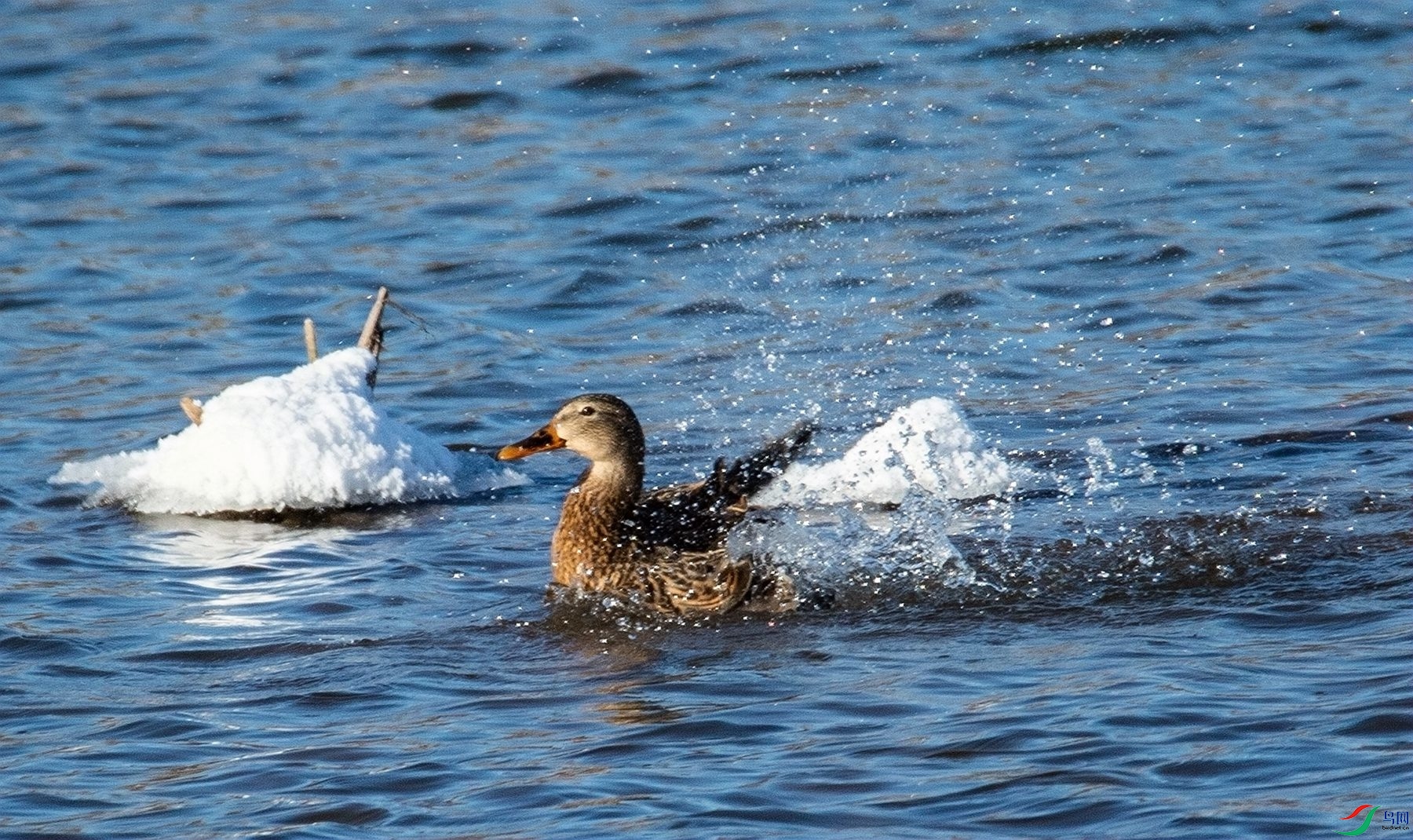 ����ѼϷ (2).jpg