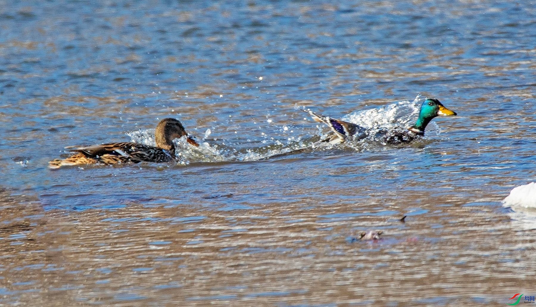 ����ѼϷ (5).jpg