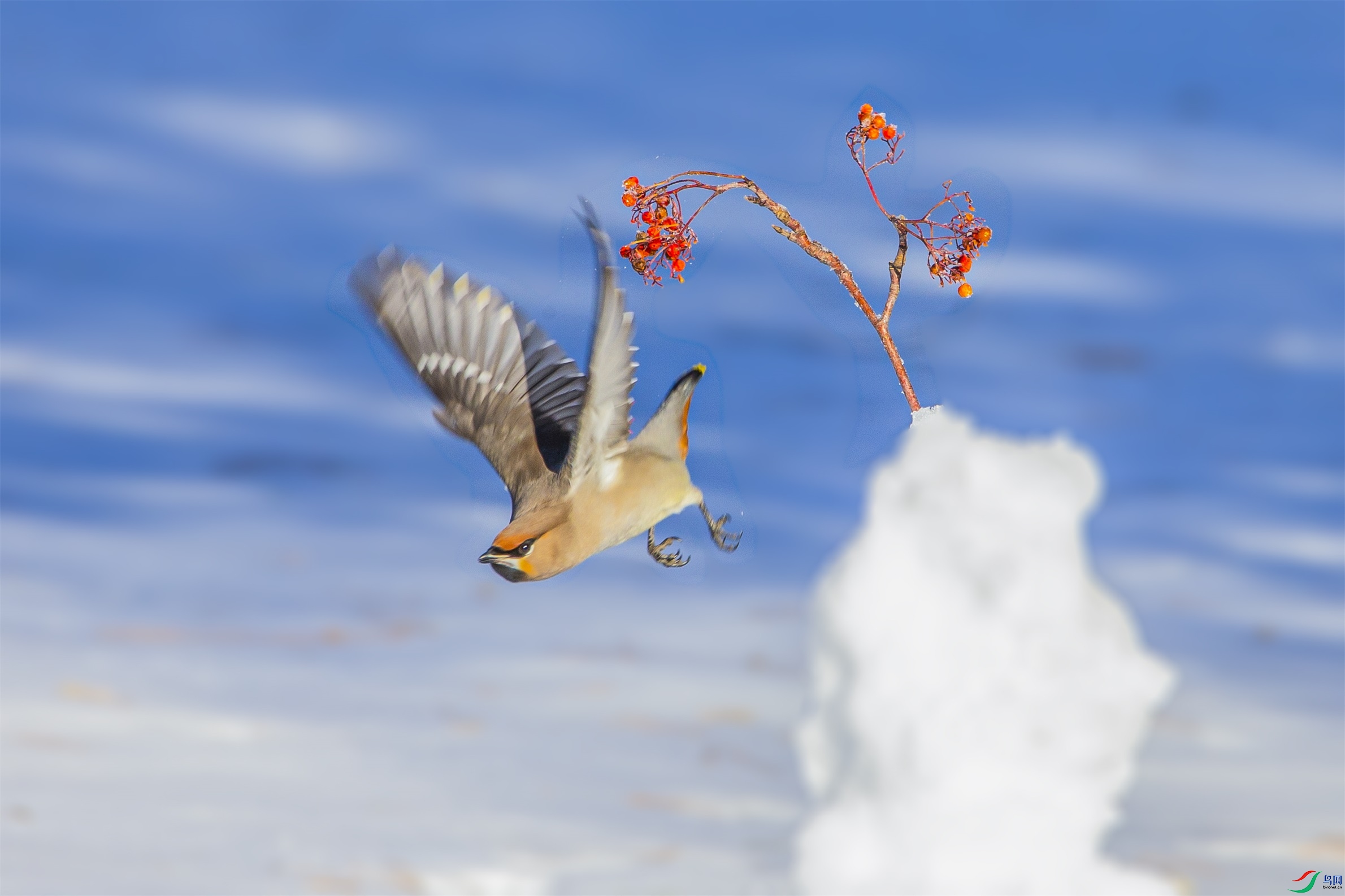 DK7T0628 ����1.jpg