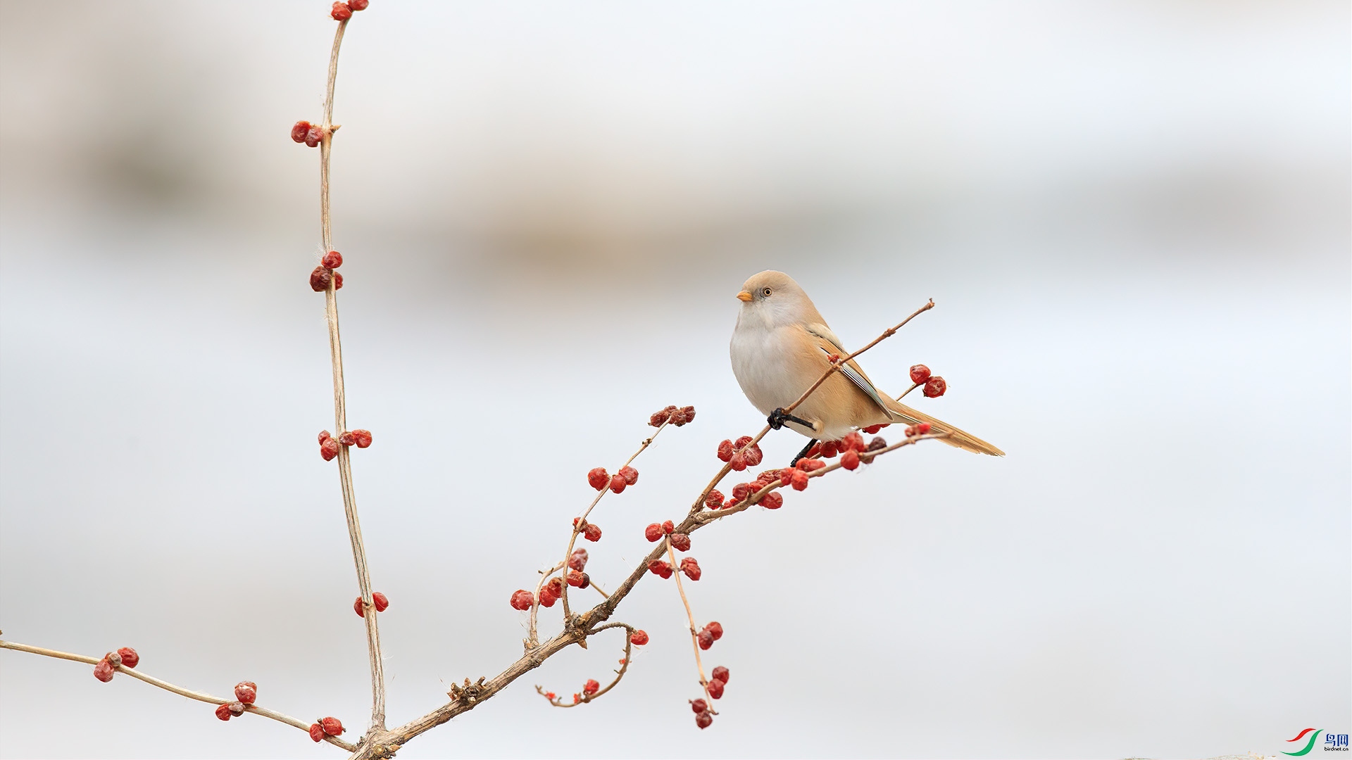 1DX_6803 ����.jpg