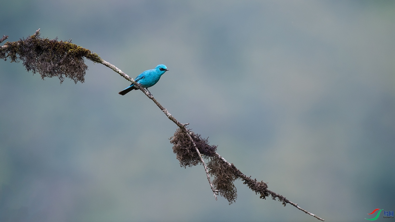 DSC3_2593 - ����.jpg