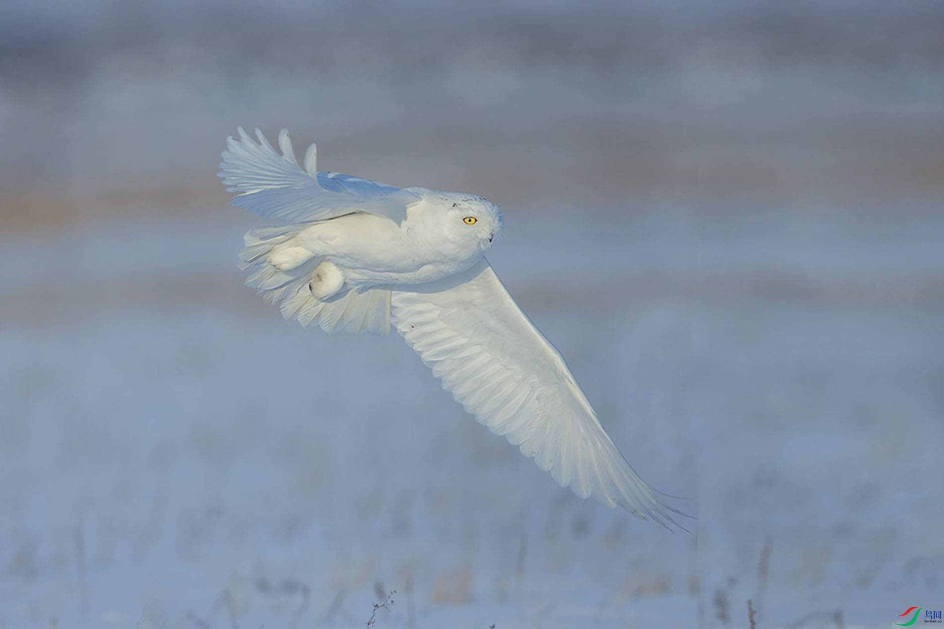 CK6K1030 - ����.jpg