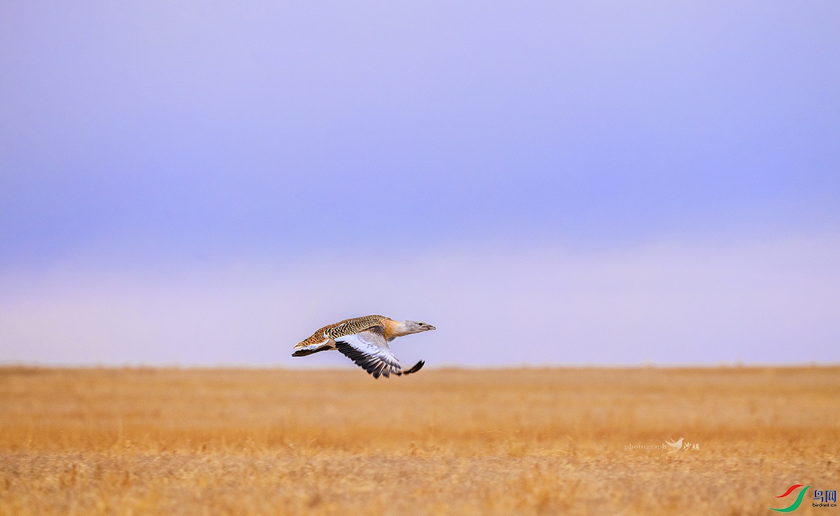 2022�͵�ǰ��