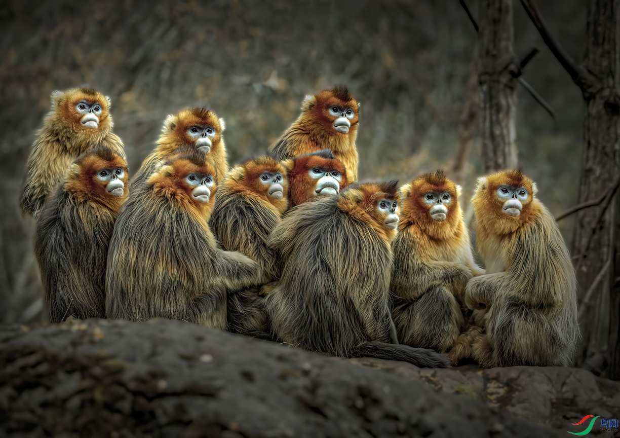 IMG_7136 ȫ�Ҹ���С���� ȥ�룩.jpg